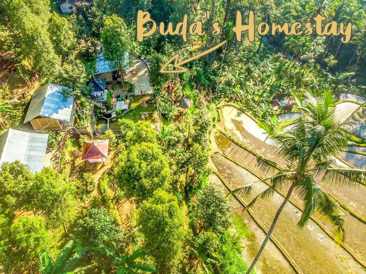 Homestay Buda's Lemukih *