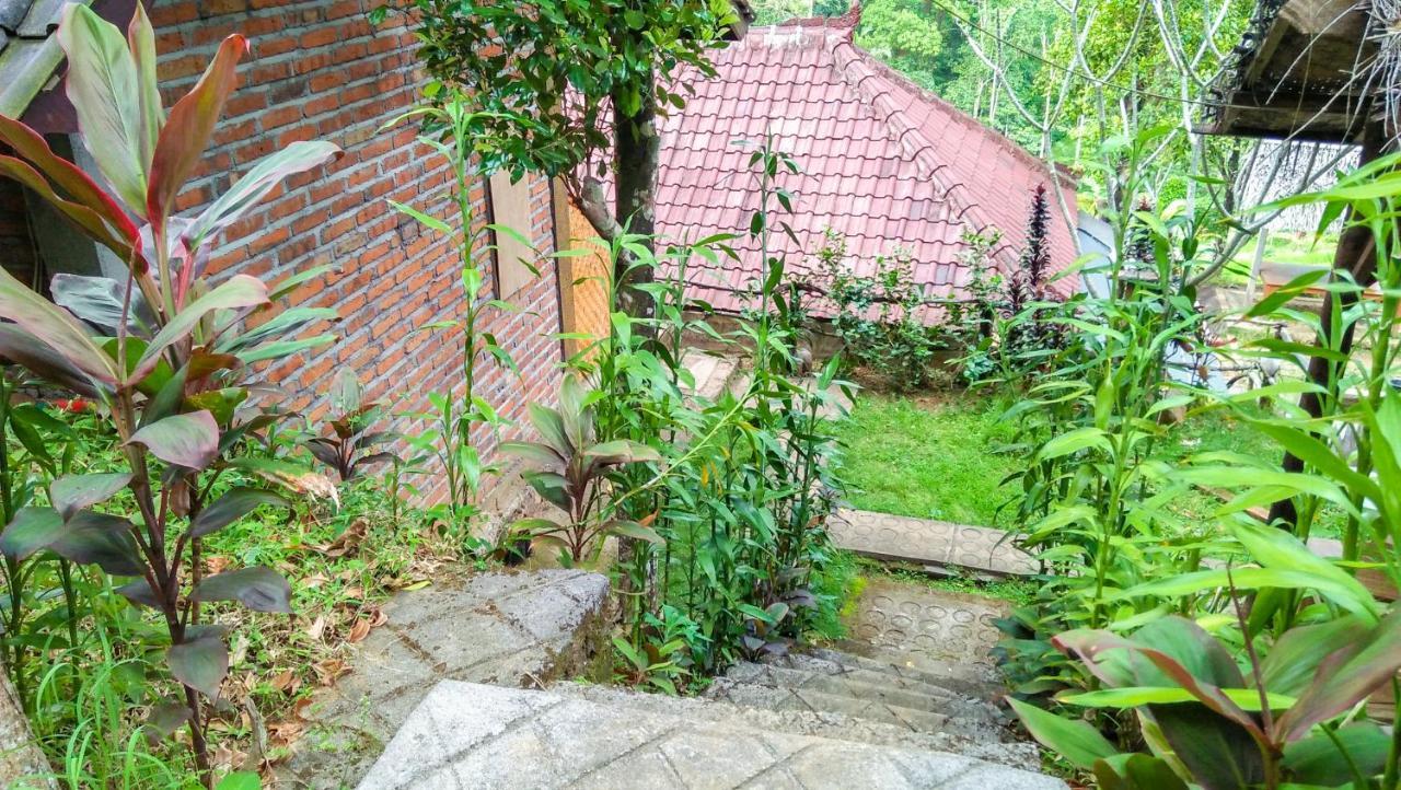 Homestay Buda's Lemukih *